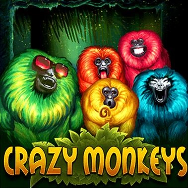 Crazy-Monkeys